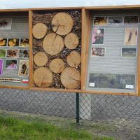 Impressionen Natur Wels 017